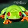 Darwin Chamber - 3D Frog Chorus Environment